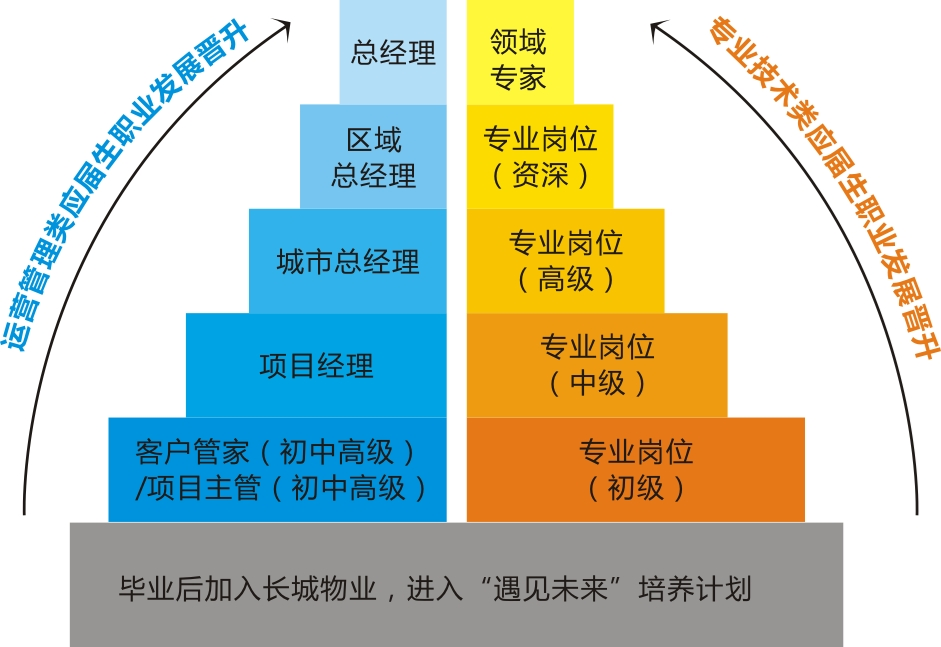 1540287576980296.jpg 1540287603(1).jpg