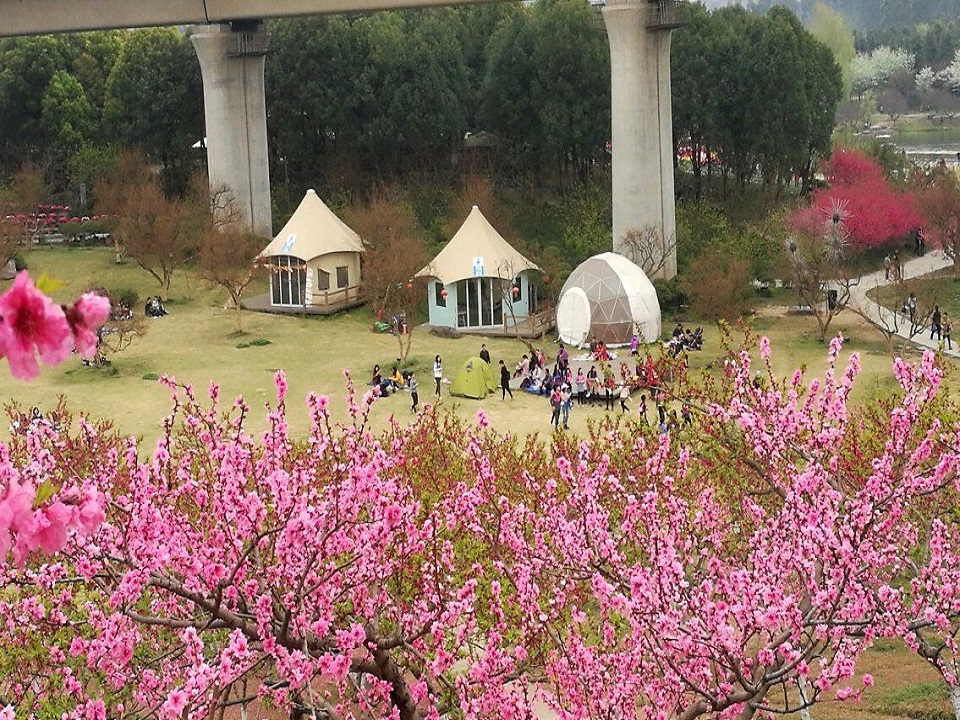 QQ图片20180322222038.jpg QQ图片20180322222038.jpg